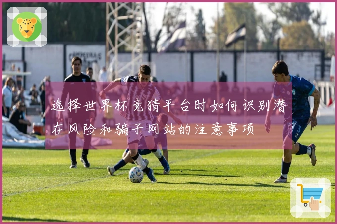 选择世界杯竞猜平台时如何识别潜在风险和骗子网站的注意事项