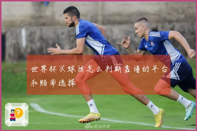 世界杯买球该怎么判断靠谱的平台和赔率选择