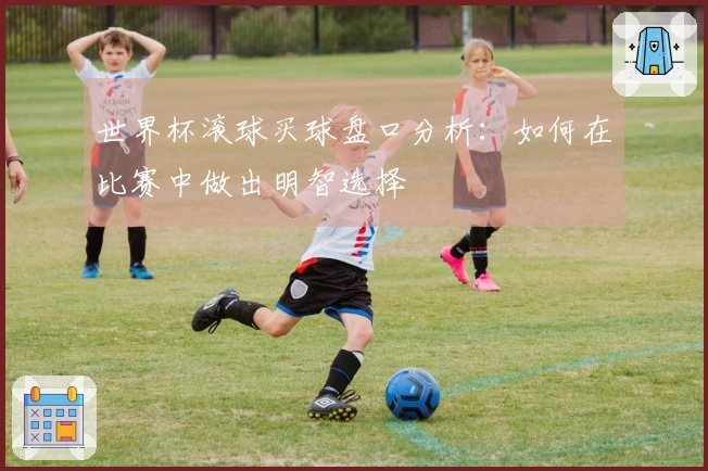 世界杯滚球买球盘口分析：如何在比赛中做出明智选择