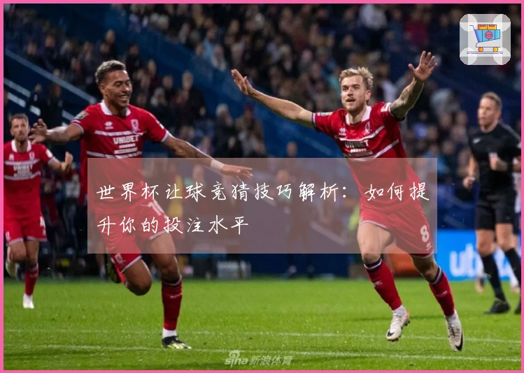 世界杯让球竞猜技巧解析：如何提升你的投注水平
