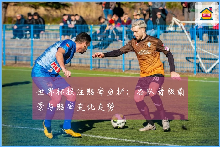 世界杯投注赔率分析:各队晋级前景与赔率变化走势