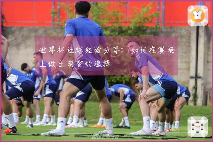 世界杯让球经验分享：如何在赛场上做出明智的选择