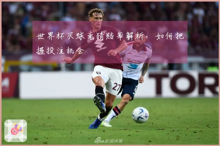世界杯买球竞猜赔率解析，如何把握投注机会