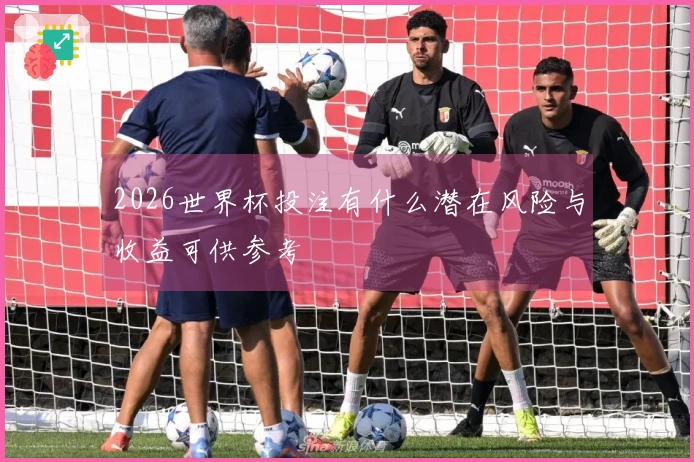 2026世界杯投注有什么潜在风险与收益可供参考