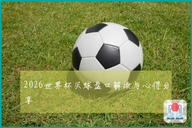 2026世界杯买球盘口解读与心得分享