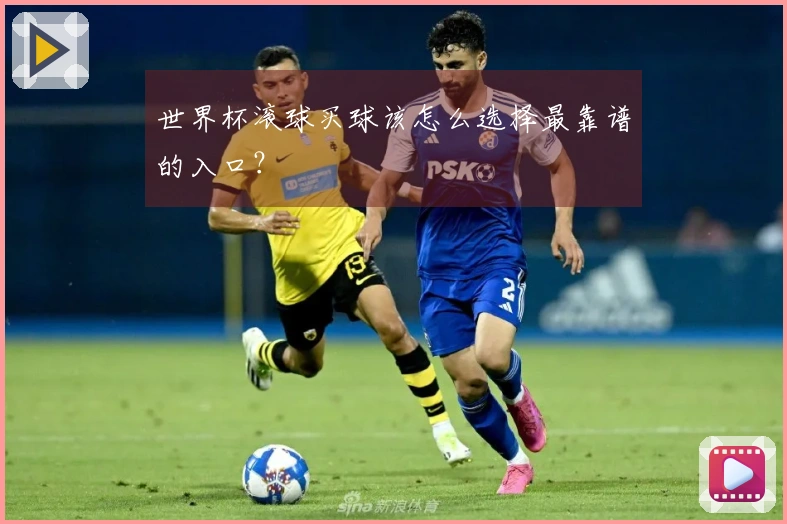 世界杯滚球买球该怎么选择最靠谱的入口？