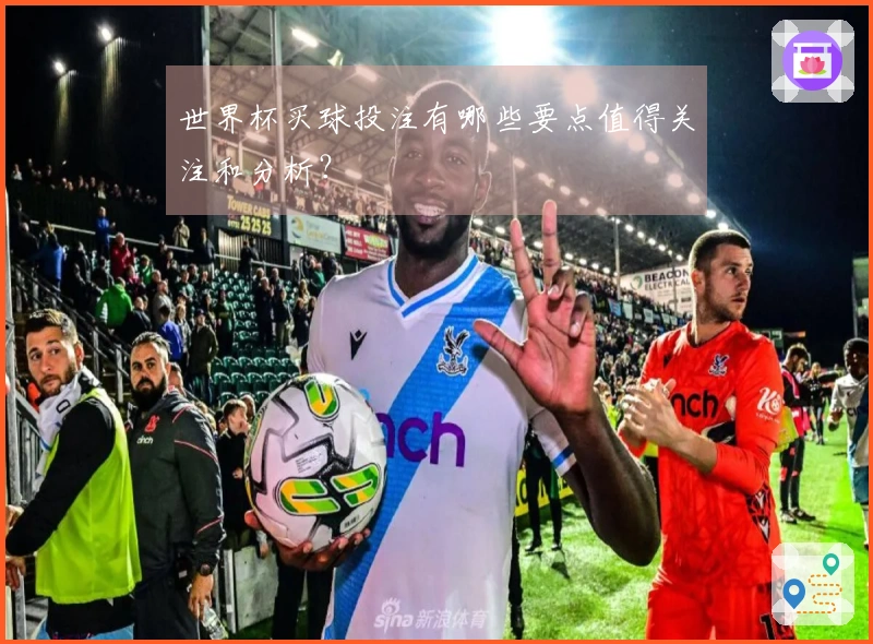 世界杯买球投注有哪些要点值得关注和分析?