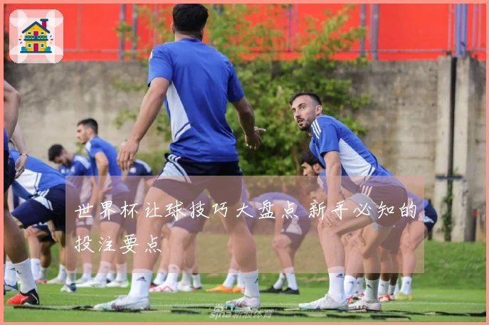 世界杯让球技巧大盘点 新手必知的投注要点