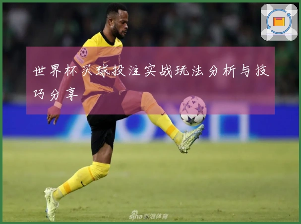 世界杯买球投注实战玩法分析与技巧分享