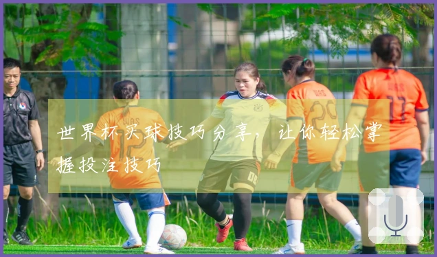 世界杯买球技巧分享，让你轻松掌握投注技巧