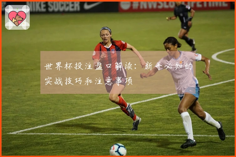 世界杯投注盘口解读:新手必知的实战技巧和注意事项