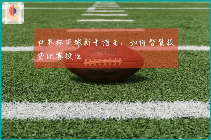 世界杯买球新手指南，如何智慧投资比赛投注