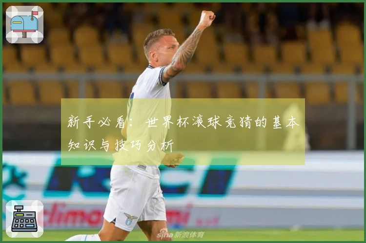 新手必看：世界杯滚球竞猜的基本知识与技巧分析