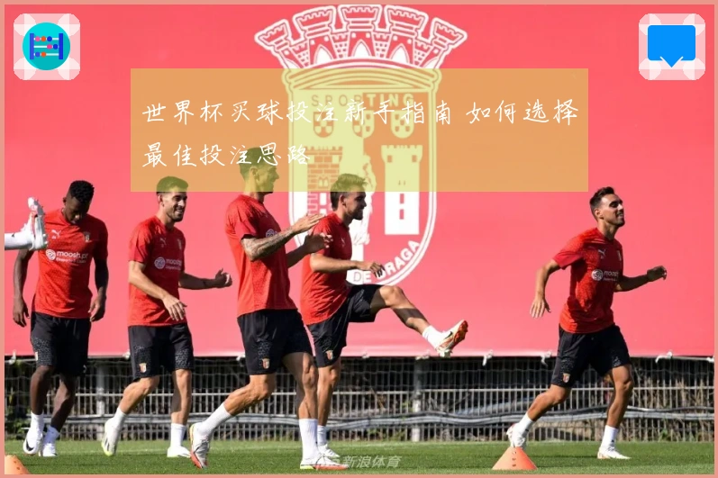 世界杯买球投注新手指南 如何选择最佳投注思路