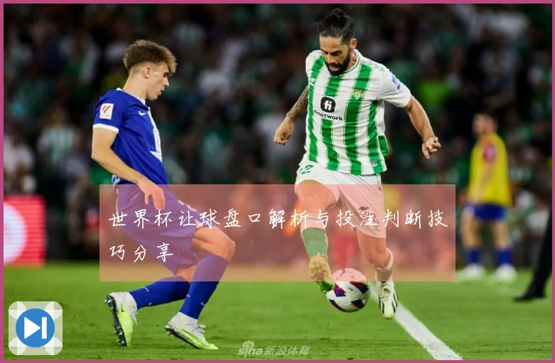 世界杯让球盘口解析与投注判断技巧分享