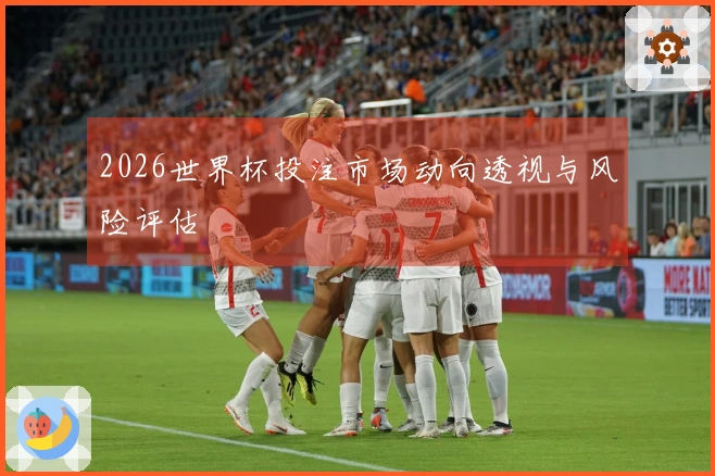 2026世界杯投注市场动向透视与风险评估