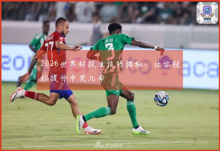 2026世界杯投注技巧揭秘,让你轻松提升中奖几率