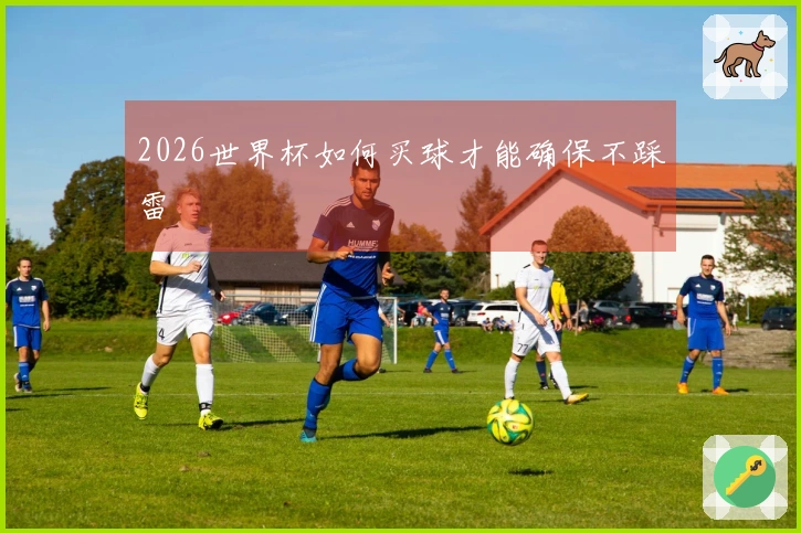2026世界杯如何买球才能确保不踩雷