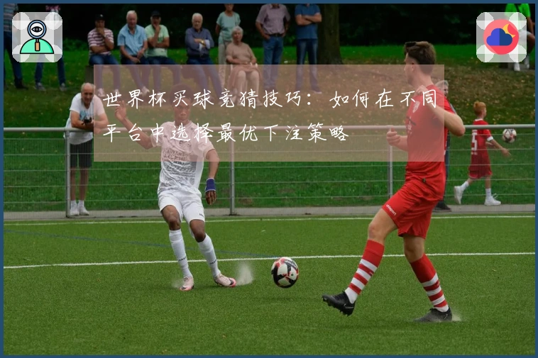 世界杯买球竞猜技巧：如何在不同平台中选择最优下注策略
