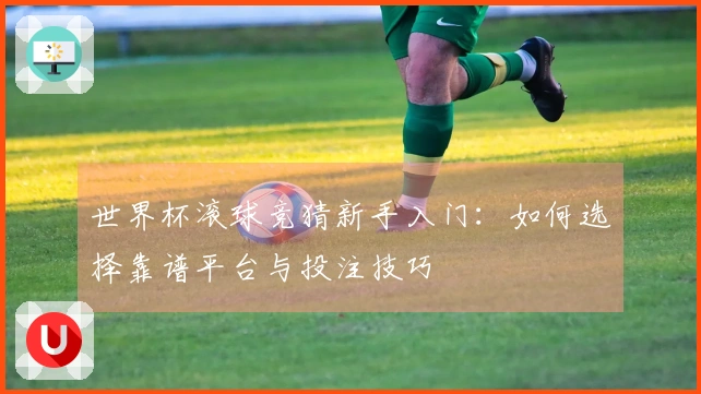 世界杯滚球竞猜新手入门：如何选择靠谱平台与投注技巧